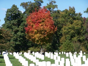 Arlington Cemetery - taken Sept 2006